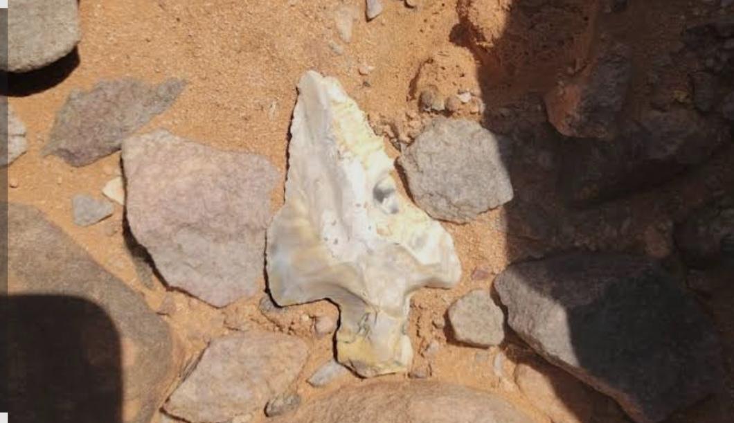 إكتشافــات أثـرية جـديدة بالسمارة تعيــد رســم ملامح التاريخ البيئي والثقافي للمنطقة 