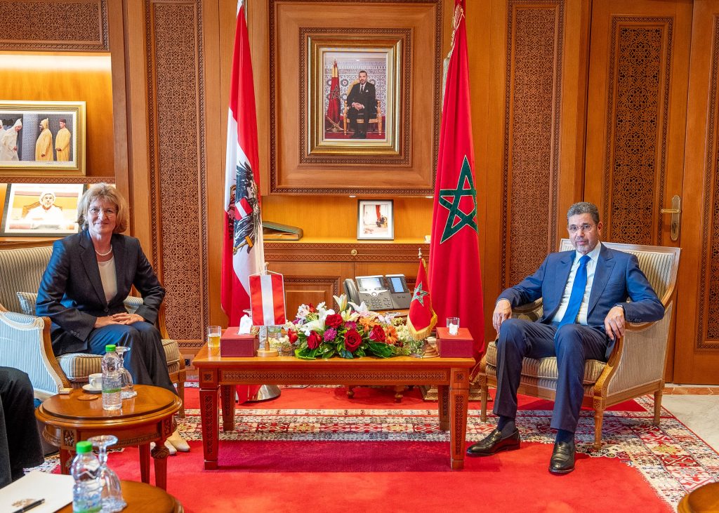 عبد النباوي يبحث مع المدعية العامة للنمسا سبل تعزيز التعاون القضائي 