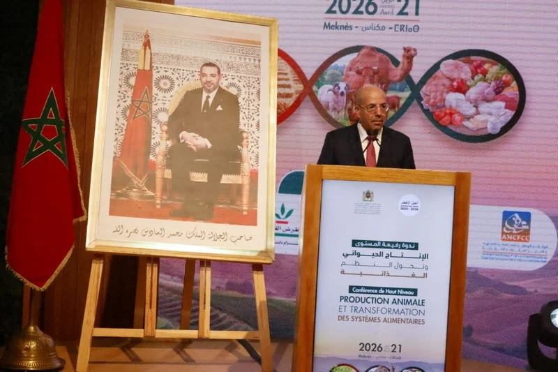 إنتاج الحبوب سيبلغ 90 مليون قنطار والموسم الفلاحي يتجه نحو نتائج قوية 