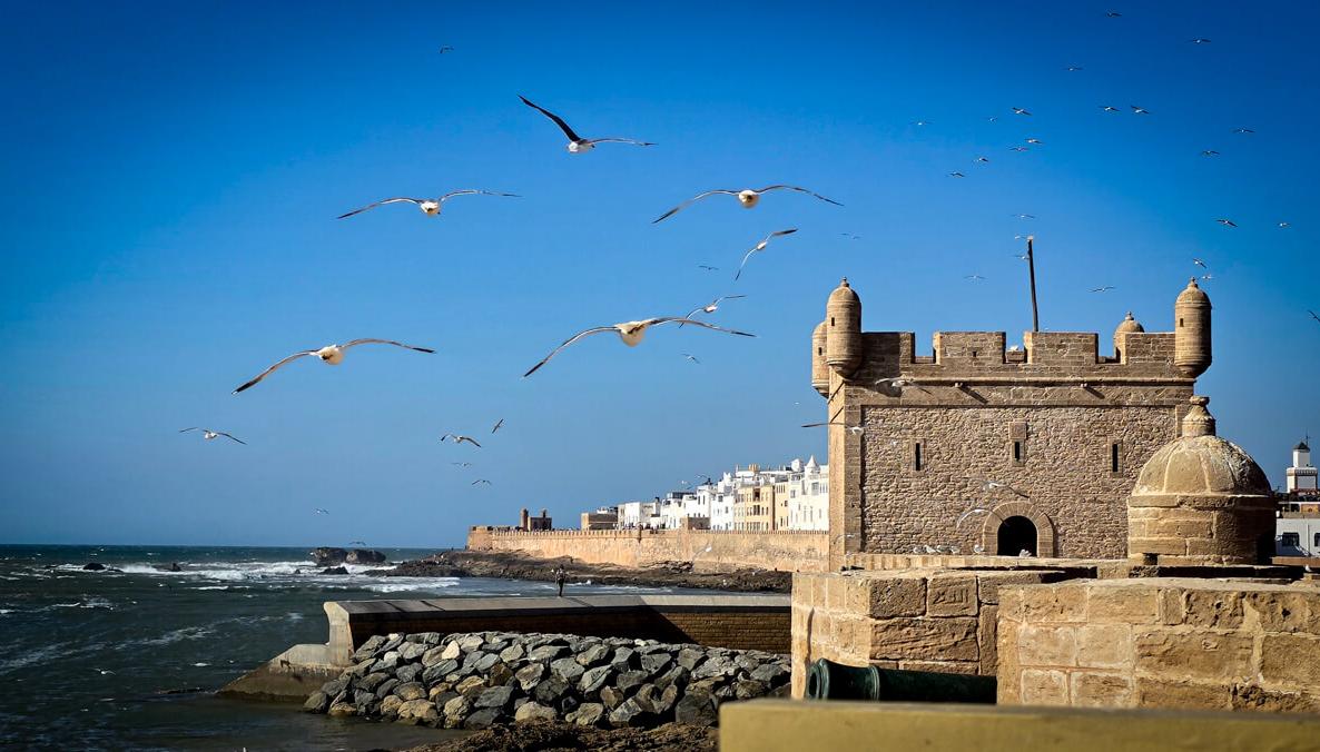 انطلاق المخيمات الربيعية بسيدي كاوكي لدعم التلاميذ المهددين بالانقطاع عن الدراسة 