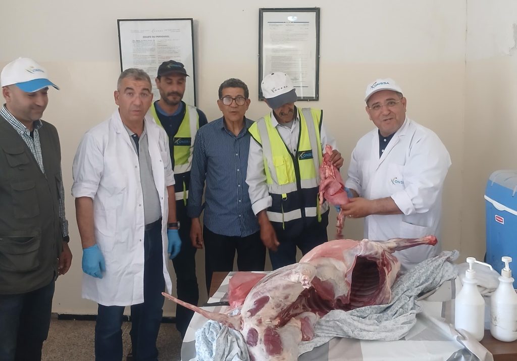 أطباء المصلحة البيطرية بسطات في خدمة المواطنين يوم العيد 